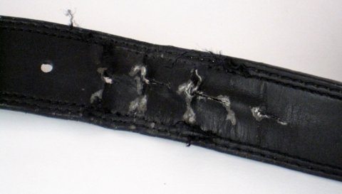After One Year of Use the Leather Belt is Torn Up compared to a Flawless BioThane Super Belt (1) After One Year of Use the Leather Belt is Torn Up compared to a Flawless BioThane Super Belt