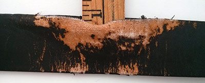 BioThane Super Belt Hall of Shame Chinese Leather Dress Belt 1 Super Belt Hall of Shame Chinese Leather Junk Belt After One Year of Use the Leather Belt is Torn Up compared to a Flawless BioThane Super Belt